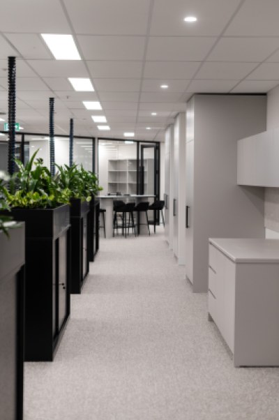 Reed Consulting | CBD Office Fit Out