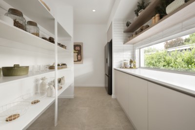 Oasis 26
